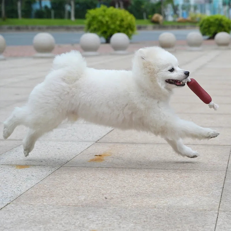 Sausage dog toy